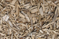 biomass boilers Lilliesleaf